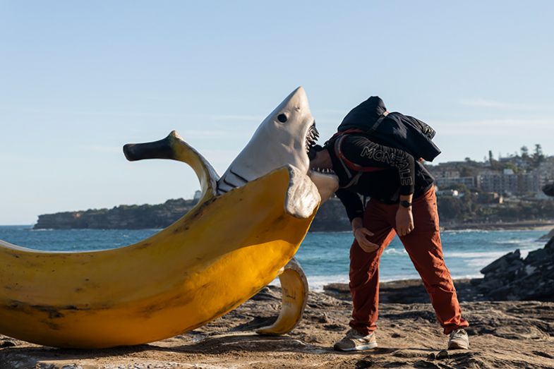 A person places their head in the mouth of a shark banana sculpture by Drew Macdonald in Sydney, Australia. To illustrate whether Australian universities are crying wolf over their finances, especially given the number of job cuts A person places their head in the mouth of a shark banana sculpture by Drew Macdonald in Sydney, Australia. To illustrate whether Australian universities are crying wolf over their finances, especially given the number of job cuts